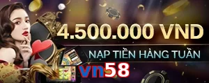 vn58