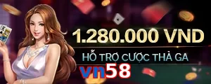 vn58