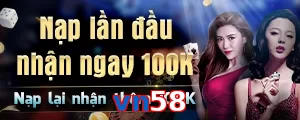 vn58
